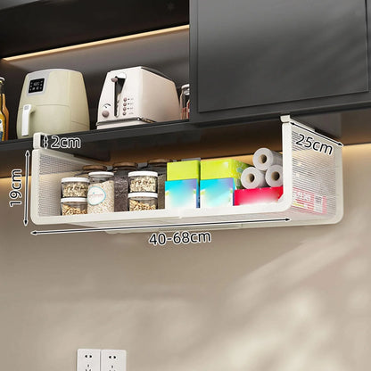 Under Cabinet Shelf Organizer