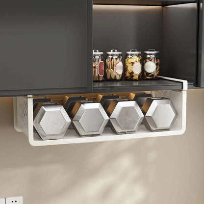 Under Cabinet Shelf Organizer