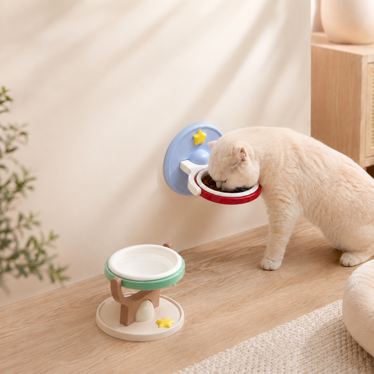 Wall and floor pet bowl dual-use hero